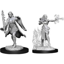 D&D Nolzurs Marvelous Miniatures Multiclass Warlock/Sorcerer Female