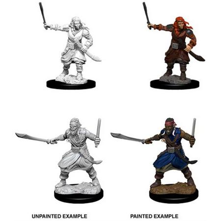 Dungeons and Dragons Nolzurs Marvelous Miniatures: Bandits