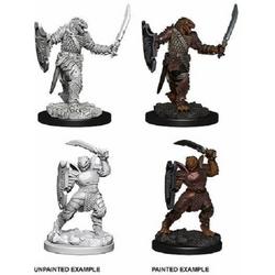 Dungeons and Dragons Nolzurs Marvelous Miniatures: Dragonborn Paladin, Female