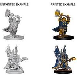 Dungeons and Dragons Nolzurs Marvelous Miniatures: Dwarf Paladin, Male