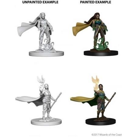 Dungeons and Dragons Nolzurs Marvelous Miniatures:  Elf Druid, Female