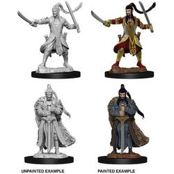 Dungeons and Dragons Nolzurs Marvelous Miniatures:  Elf Paladin, male