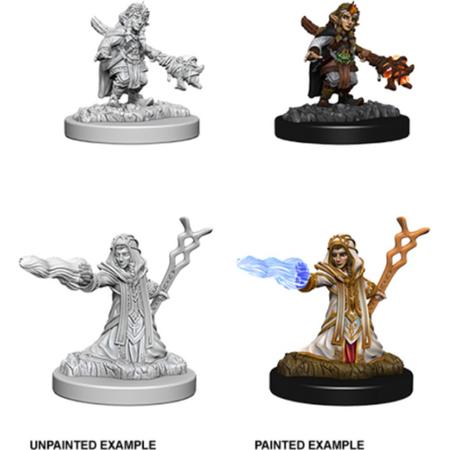 Dungeons and Dragons Nolzurs Marvelous Miniatures: Gnome Wizard, Female