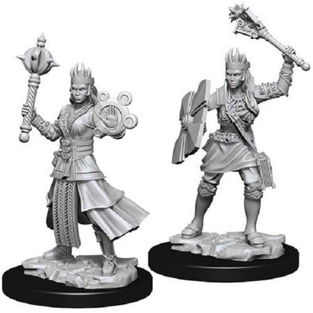 Dungeons and Dragons Nolzurs Marvelous Miniatures: Human Cleric, Female
