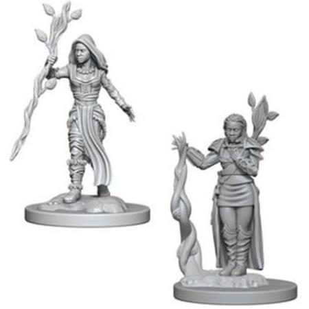 Dungeons and Dragons Nolzurs Marvelous Miniatures: Human Druid, Female