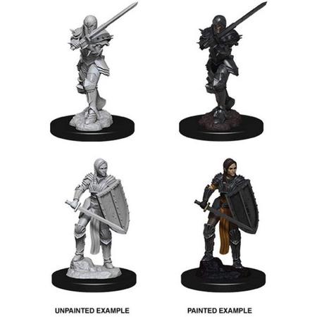 Dungeons and Dragons Nolzurs Marvelous Miniatures: Human Fighter, female