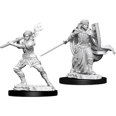 Dungeons and Dragons Nolzurs Marvelous Miniatures: Human Paladin, Female