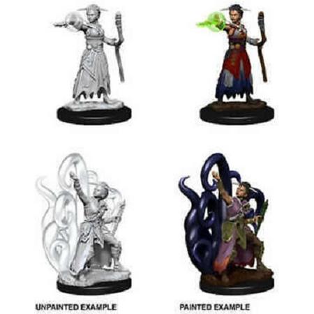 Dungeons and Dragons Nolzurs Marvelous Miniatures: Human Warlock, Female