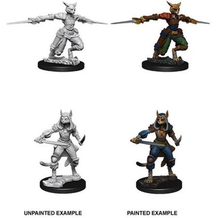 Dungeons and Dragons Nolzurs Marvelous Miniatures:  Tabaxi Rogue, female