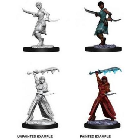 Dungeons and Dragons Nolzurs Marvelous Miniatures:Human Rogue, Female