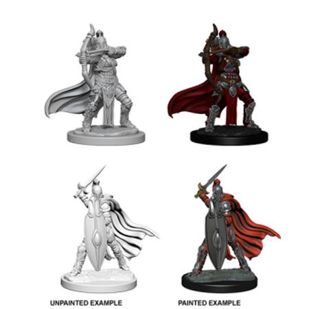 Pathfinder Battles Deep Cuts Unpainted Miniatures - Female Knights / Gray Maidens