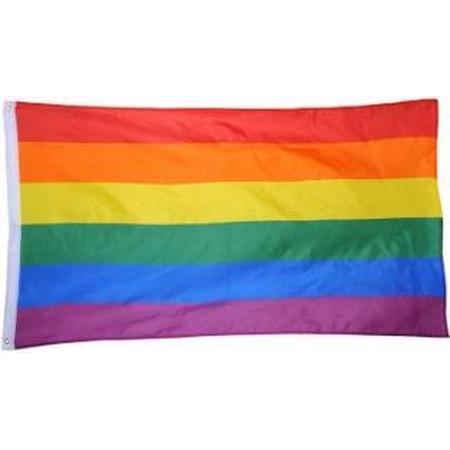 Regenboog vlag (LGBT - Gay vlag) - 90 x 150 cm