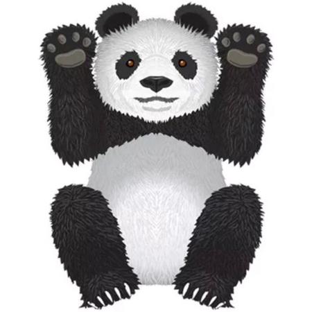 XKites SkyZoo Panda - Vlieger - Eenlijner - Kids