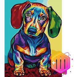 Pcasso ® Teckel Multicolor - Hond – Schilderen Op Nummer – Inclusief 3 Ergonomische Penselen - Schilderen Op Nummer Dieren - Schilderen Op Nummer Volwassenen – Canvas Schilderdoek – Kleuren Op Nummer - Paint By Number - 40x50 cm