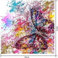 Diamond Painting 5D - gekleurde vlinder 30x30 cm   - Pixelen - schilderen - Hobby  - Zoëies