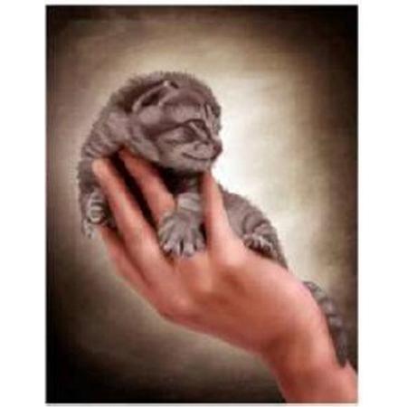 Diamond painting de luxe 30x40cm - kitten in hand - ronde steentjes