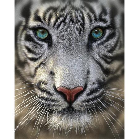 diamond painting  25 x 25 cm tijger