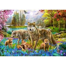 Springtime Wolf Family