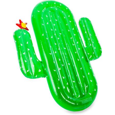 Didak Pool Luxe Cactus