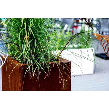 Intergard Bloembak plantenbak vierkant cortenstaal 40x40cm