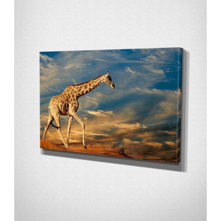 Giraffe Sky Background Canvas