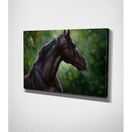 Horse - Painting Canvas