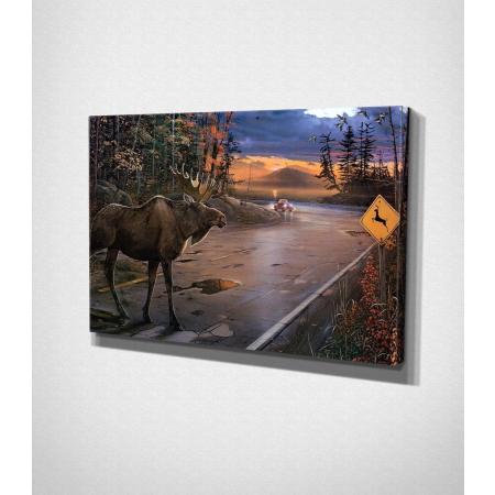 Moose – Painting Canvas