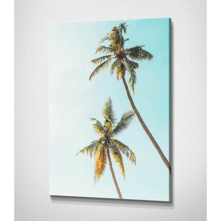 Palm Trees canvas
