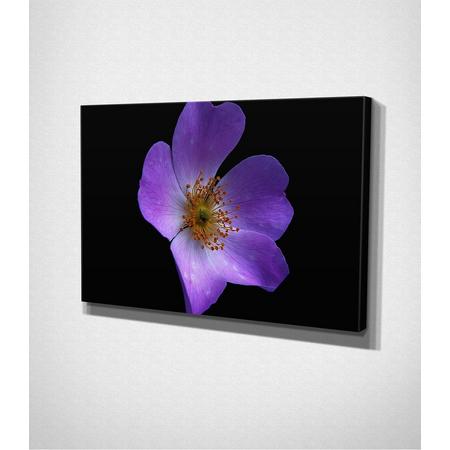 Purple Flower Canvas
