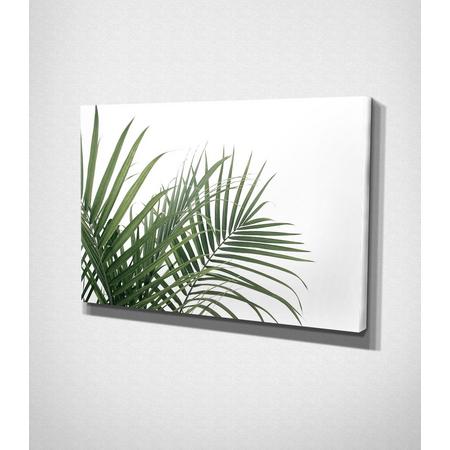 Tropical Plant Canvas