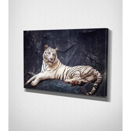 White Tiger Laying On The Rock Canvas