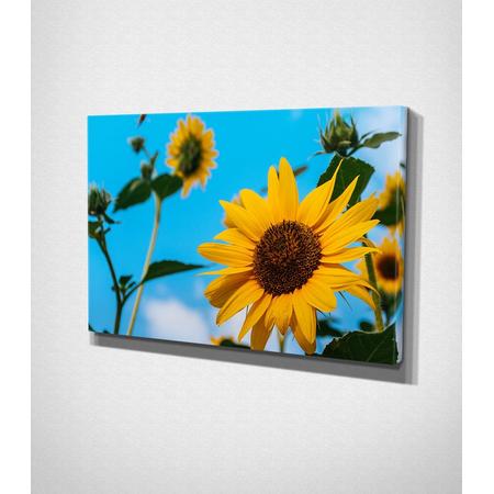 Yellow Flowers Canvas