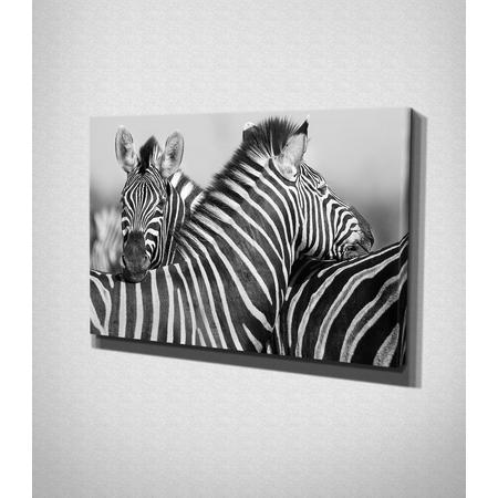 Zebras Black And White Canvas