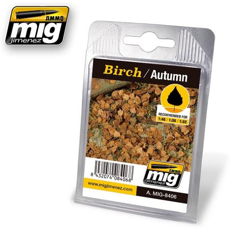 Mig - Birch - Autumn (Mig8406)