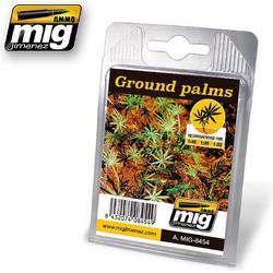 Mig - Ground Palms (Mig8454)