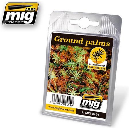 Mig - Ground Palms (Mig8454)