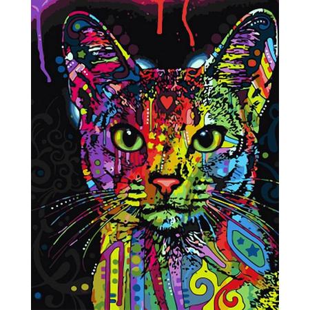 Schilderen op nummer multicolor kat (zonder frame)