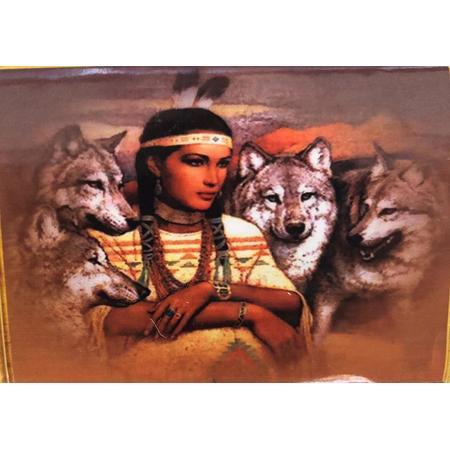 Diamond painting indiaan met wolven