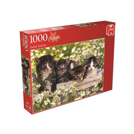 Jumbo Lieve Kittens 1000