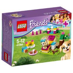 LEGO Friends Puppy Training 41088