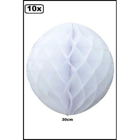 10x Honeycomb bolvorm 30 cm wit