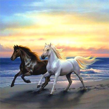 Toi-Toys - Diamond Painting 5D - Wilde paarden op het strand - 30x30 cm