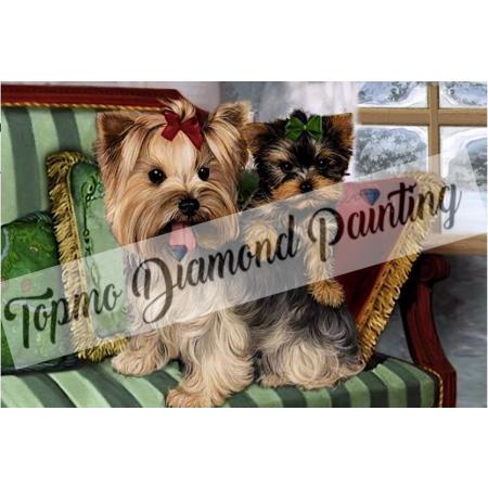 TOPMO -  hondjes op bankje - 40X50CM- Diamond painting pakket - HQ Diamond Painting - VOLLEDIG dekkend - Diamant Schilderen - voor Volwassenen – ROND- Diamond DOTZ