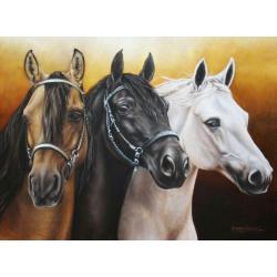 TOPMO- Caballos paarden- -XL MAAT- 40 x 50 CM - Diamond painting pakket - HQ Diamond Painting - volledig dekkend - Diamant Schilderen - voor Volwassenen – ROND