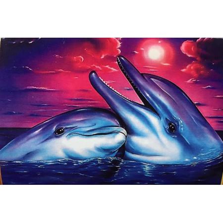 TOPMO Diamond Painting  - twee Dolfijnen  - volledige - 40x50cm