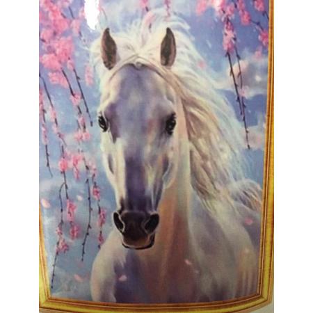 TOPMO Diamond painting- Witte paard- volledig 40x50cm