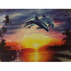 TOPMO Diamond painting- twee springende dolfijnen aan de horizon- volledig 40x50cm