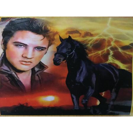 TOPMO- Diamond painting volwassenen - HQ - Elvis Presley met een paard - Diamond painting pakket - HQ Diamond Painting - volledig dekkend - Diamant Schilderen – voor Volwassenen – ROND - 40 x 50 CM