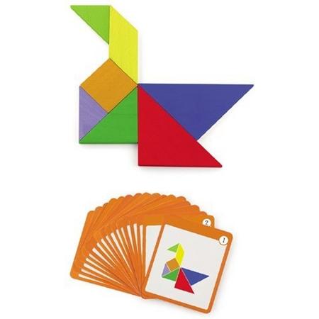 Viga Toys Magneetpuzzel 55-delig Multicolor
