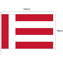 Vlag van Eindhoven 100 x 150cm